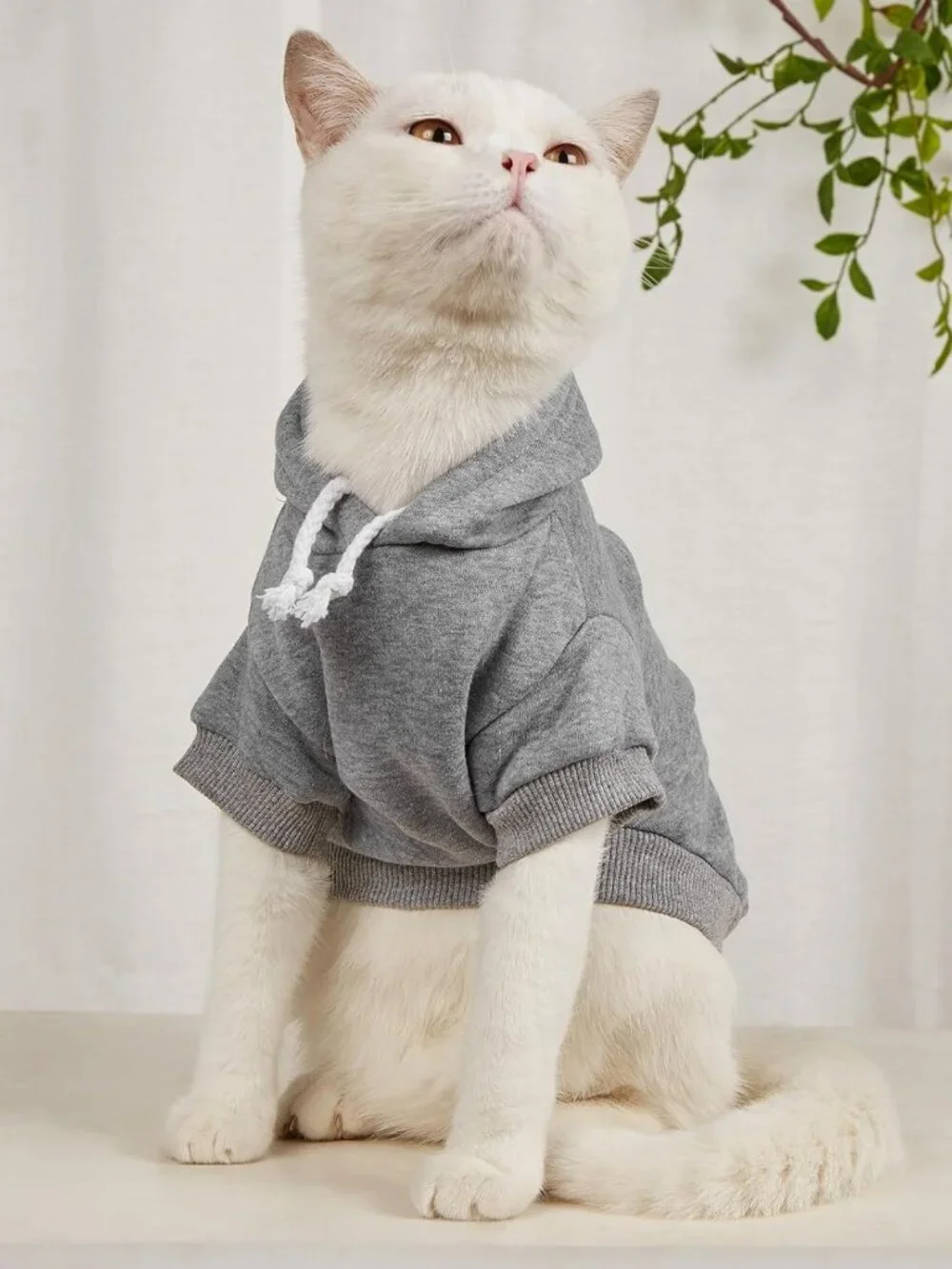 Cozy Dog Hoodie Sweatshirt for Small Dogs & Cats - Warm Pet Costume, X-Small